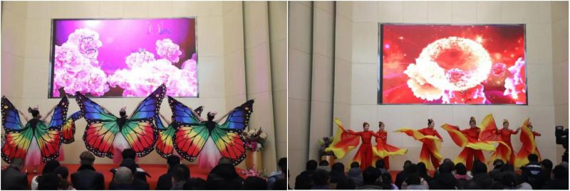 8040www威尼斯(中国)有限公司-BinG百科