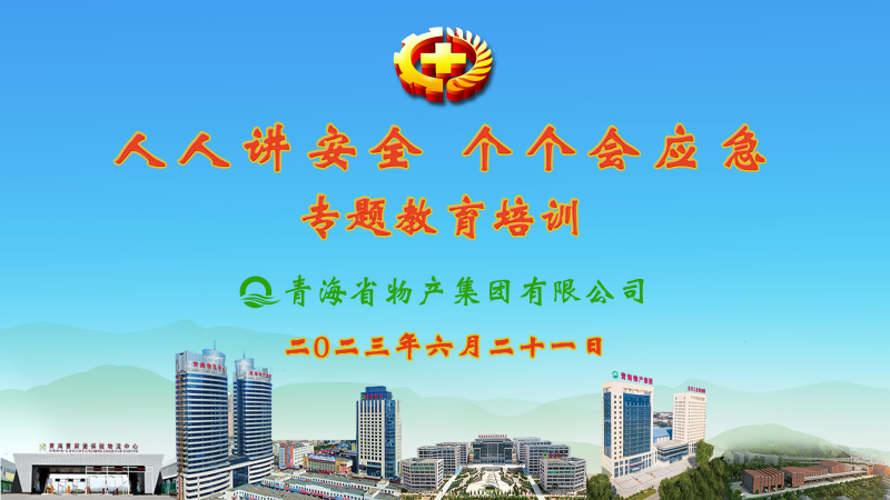 提高清静治理水平 落实全员清静责任——集团安委会举行2023年“人人讲清静，个个会应急”专题教育培训