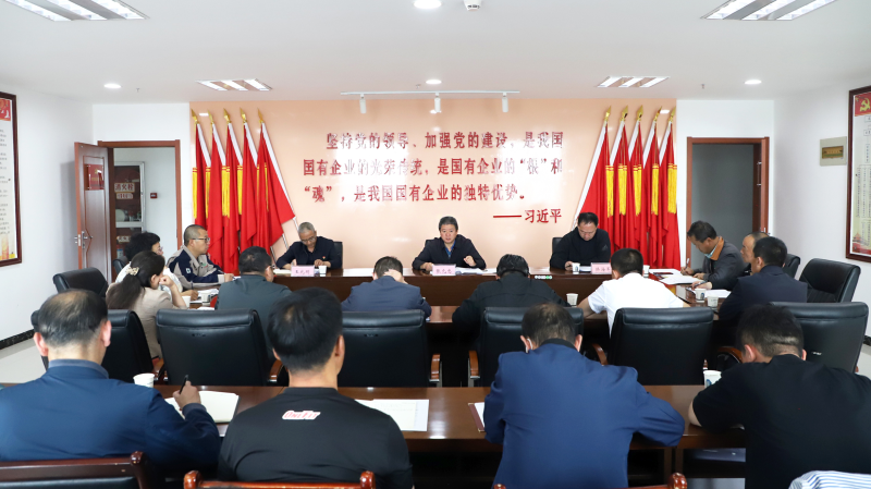 集团安委会召开集团2023年6月份清静生产例会