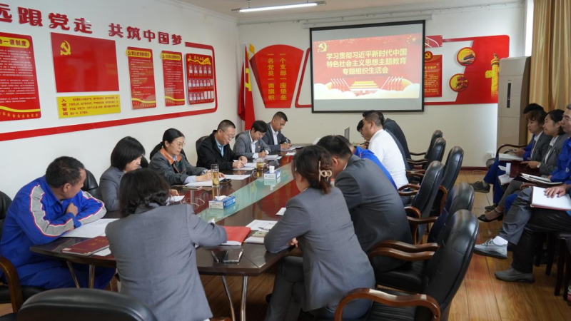 8040WWW威尼斯汽贸公司党支部召开学习贯彻习近平新时代 中国特色社会主义头脑主题教育专题组织生涯会