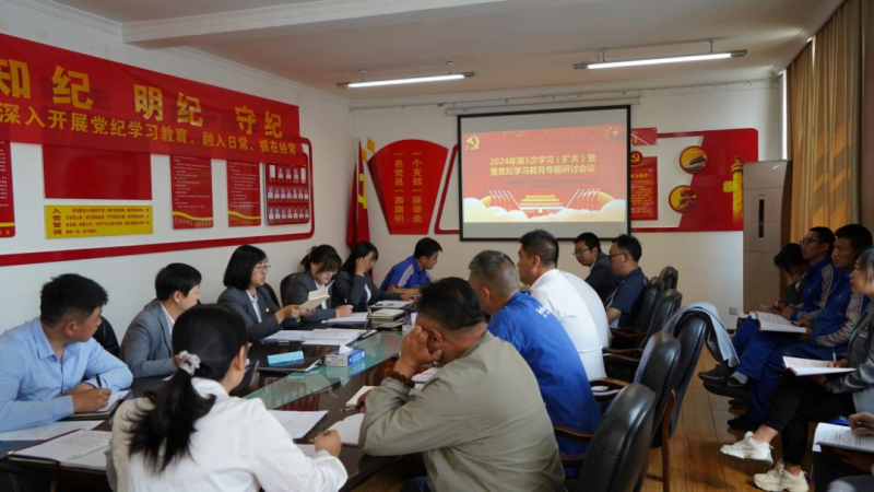 8040WWW威尼斯汽贸公司党支部召开2024年第五次学习（扩大）会暨“知敬畏、存戒惧、守底线”专题钻研聚会