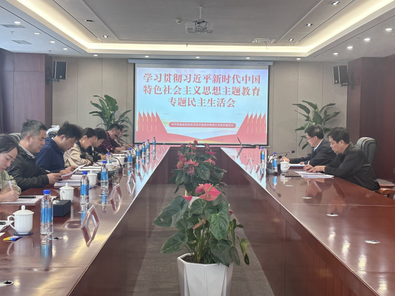 临空开投公司党支部召开主题教育专题民主生涯会