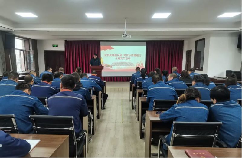 党员先锋展风范 岗位树模砥砺行——配送公司党委所属党支部联合开展主题党日运动