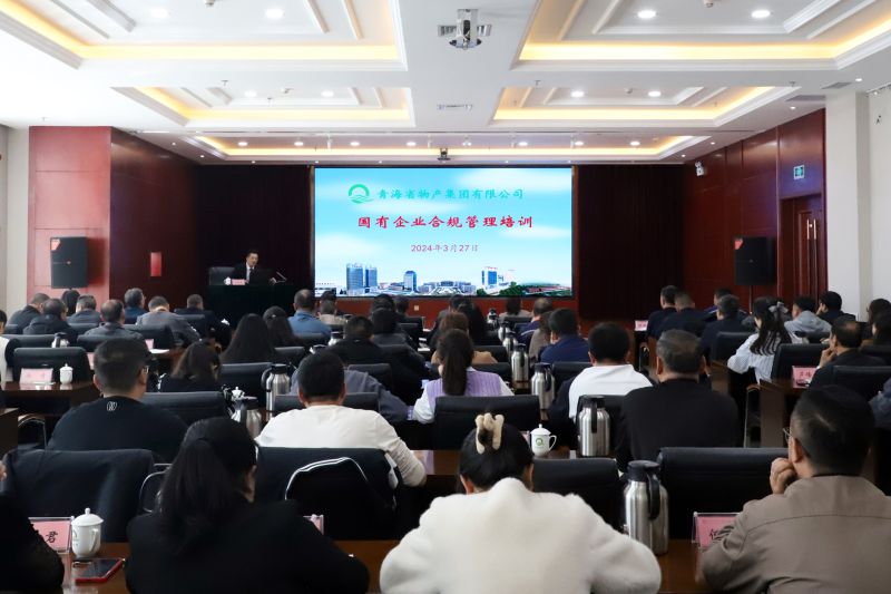 省8040WWW威尼斯集团组织开展国有企业合规治理培训