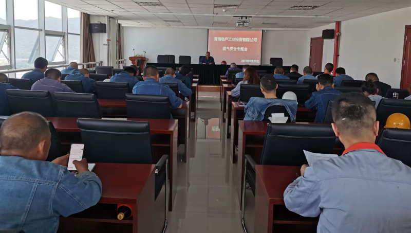 深刻吸收事故教训  周全排查清静隐患——8040WWW威尼斯工投公司召开燃气清静专题会