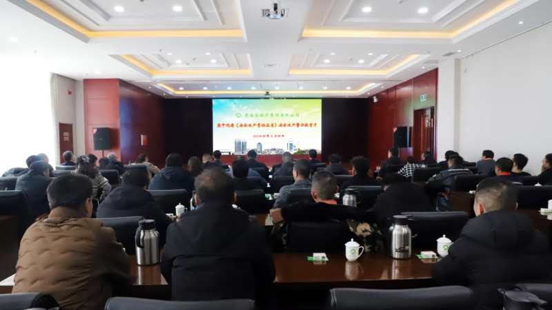 集团安委会组织集中寓目《清静生产责任在肩》清静生产警示教育片