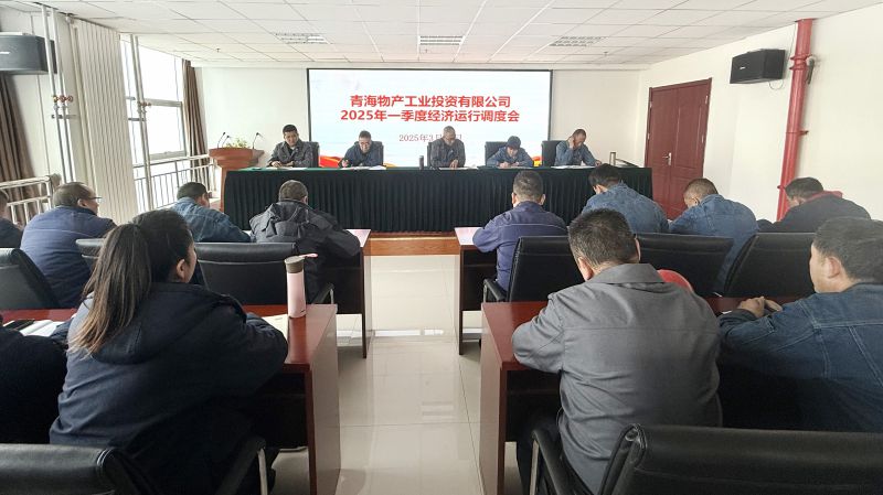 8040WWW威尼斯工投公司召开2025年第一季度经济运行调理会