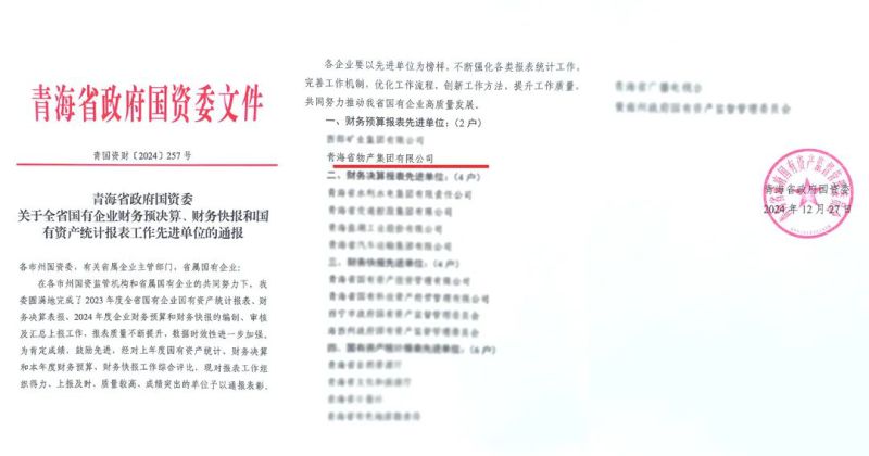 省8040WWW威尼斯集团荣获省国资委2024年度财务预算报表事情先进单位