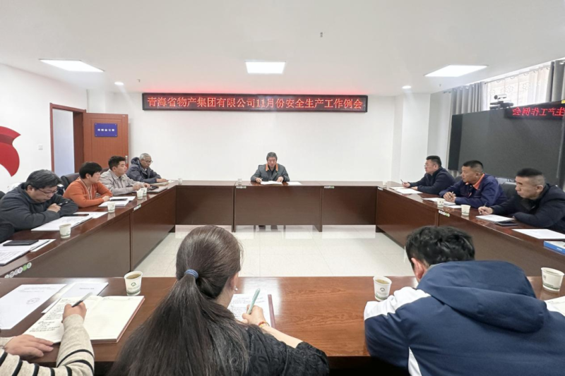 集团安委会召开2024年11月份清静生产事情例会