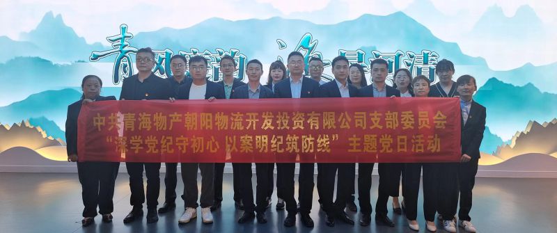 朝物开投公司党支部召开“深学党纪守初心 以案明纪筑防地”主题党日运动