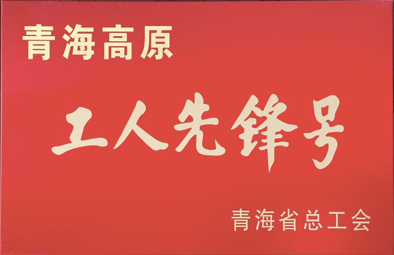 8040WWW威尼斯工投公司电解二车间被命名青海高原“工人先锋号”