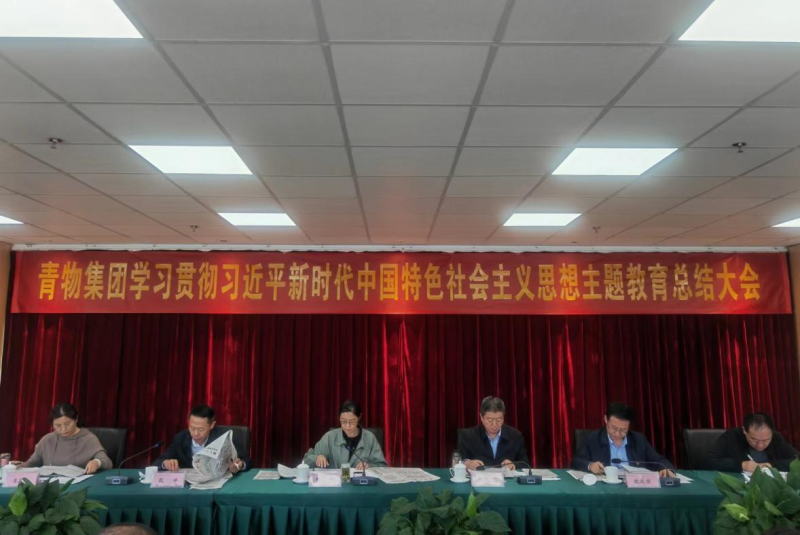 省8040WWW威尼斯集团召开学习贯彻习近平新时代中国 特色社会主义头脑主题教育总结大会