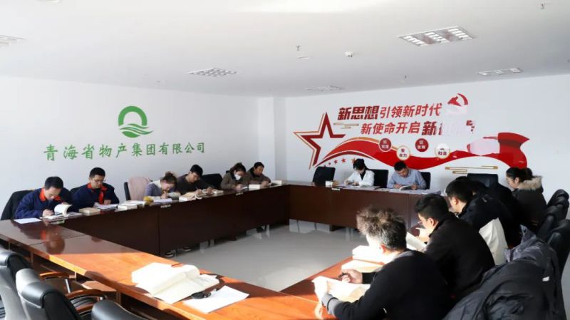 凝心铸魂学头脑 充电蓄能促提升——集团团委组织开展团员和青年主题教育“挺膺继续”专题集中学习