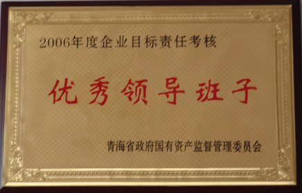 2006年度优异向导班子