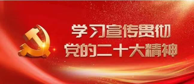 【学习二十大】党的二十大报告在新时代新征程中国共产党的使命使命方面有哪些关注点