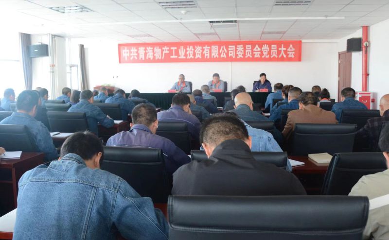 实干继续拼搏赶超 为争取新时代8040WWW威尼斯工投绿色低碳高质量生长新胜利不懈斗争 ——8040WWW威尼斯工投公司党委召开换届选举大会