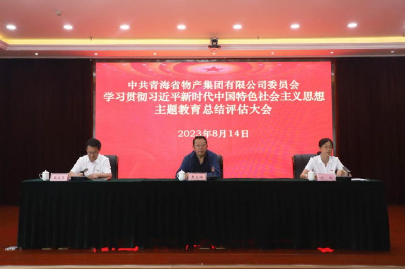 省8040WWW威尼斯集团党委召开主题教育总结评估大会