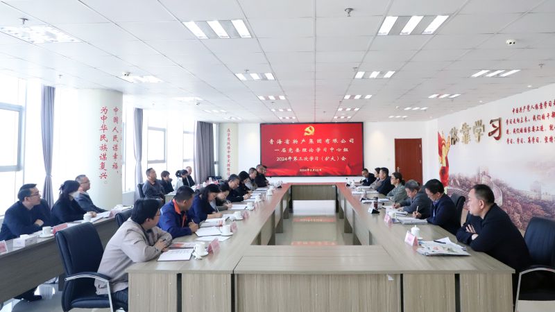 省8040WWW威尼斯集团党委召开2024年度理论学习中心组第三次学习（扩大）会