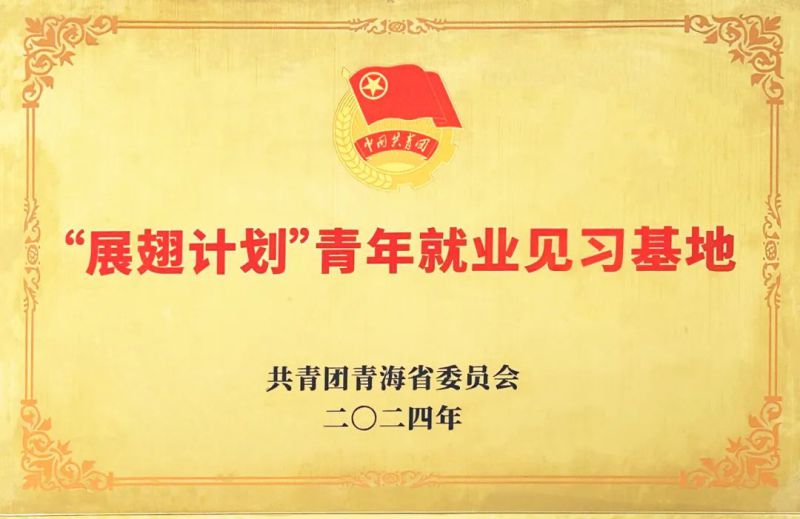 8040WWW威尼斯工投公司被团省委授予“展翅妄想”首批青年就业见习基地