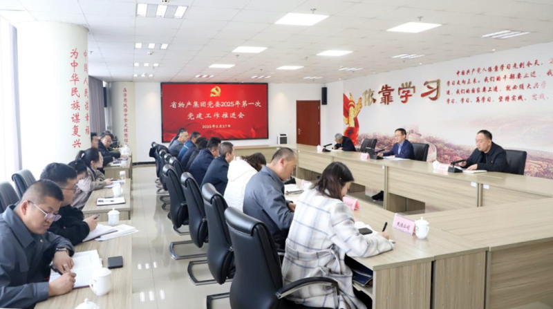 集团党委召开2025年一季度党建事情推进会
