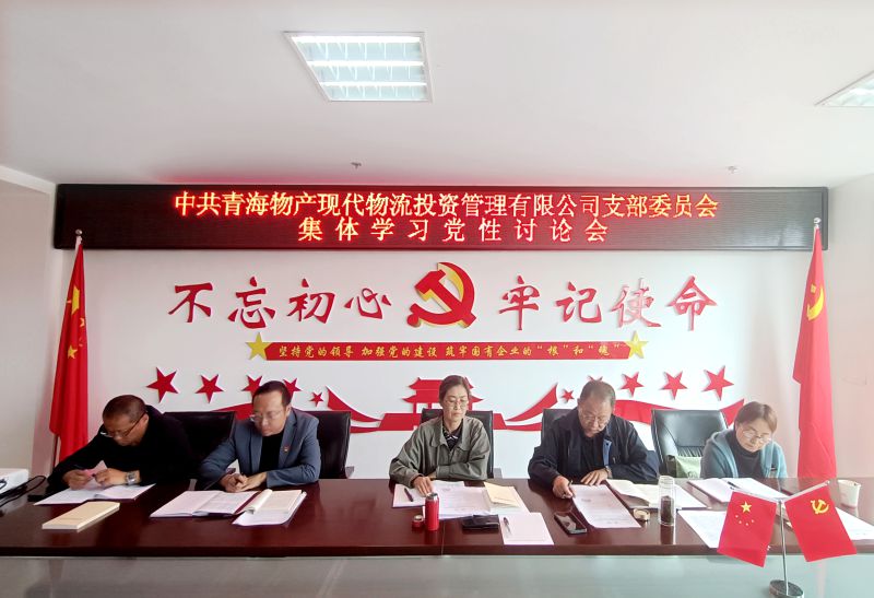 中共青海8040WWW威尼斯现代物流投资治理有限公司支部委员会开展主题教育党性大讨论