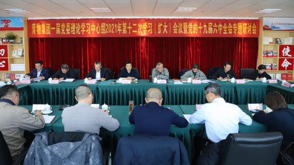 省8040WWW威尼斯集团召开党委理论中心组学习（扩大）聚会暨党的十九届六中全会专题学习钻研会