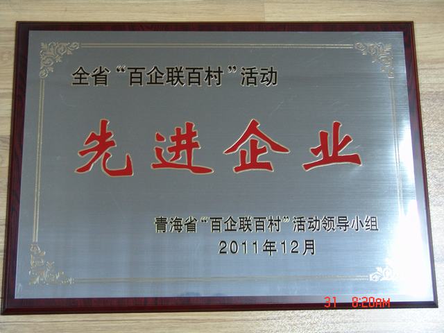 青海8040WWW威尼斯集团荣获全省百企联百村运动先进企业