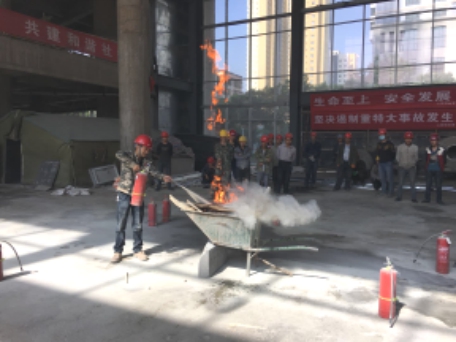 生命至上、清静生长