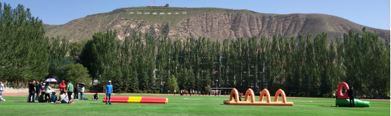 8040www威尼斯(中国)有限公司-BinG百科