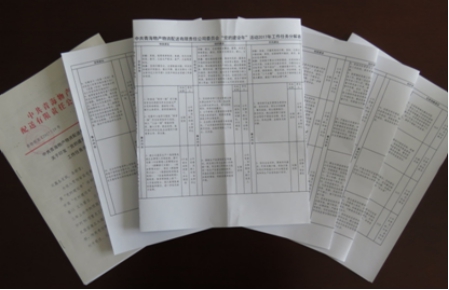 对标  剖析  明责  落实