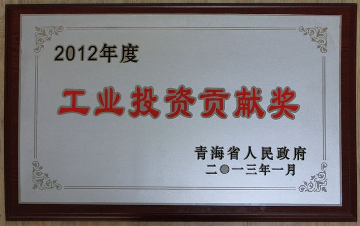 集团荣获2012年度青海省人民政府“工业投资孝顺奖”