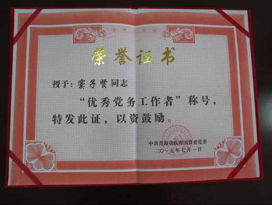 庆“七一”、学先进，在推动集团稳健生长中立功立业